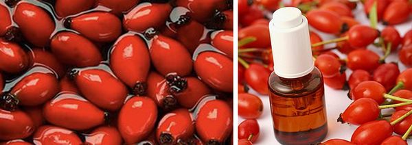 масло из плодов шиповника масло из плодов шиповника