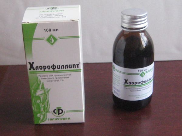 Хлорофиллипт Хлорофиллипт